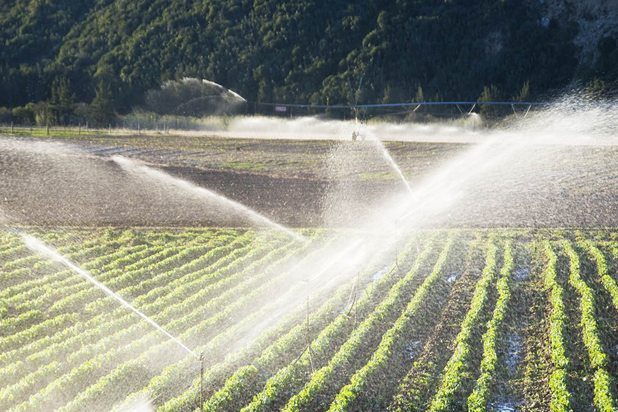 Maatalouden automaatio